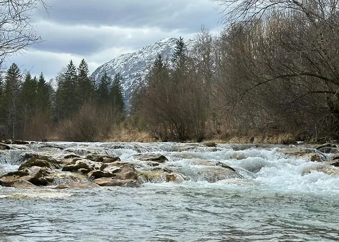 Πανσιόν Inge 3*